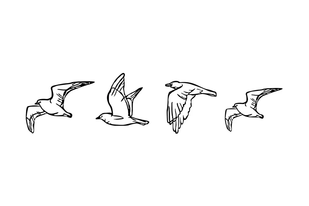 Birds Veggdekor v:3130994 Birds Veggdekor v:3130994