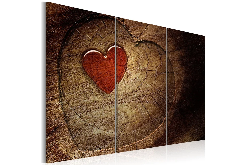 Bilde Old love does not rust 3 x 90x60 v:5268850