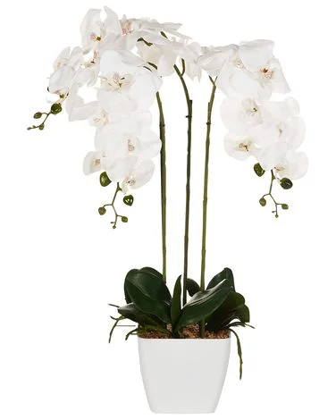Kunstig plante ORCHID 59 cm Hvit v:7442006