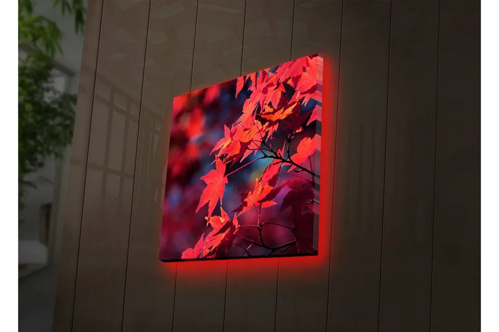 Lerretsbilde med LED-belysning 28x28 cm - Klart rødt lønneblad i høstfarger v:4718085