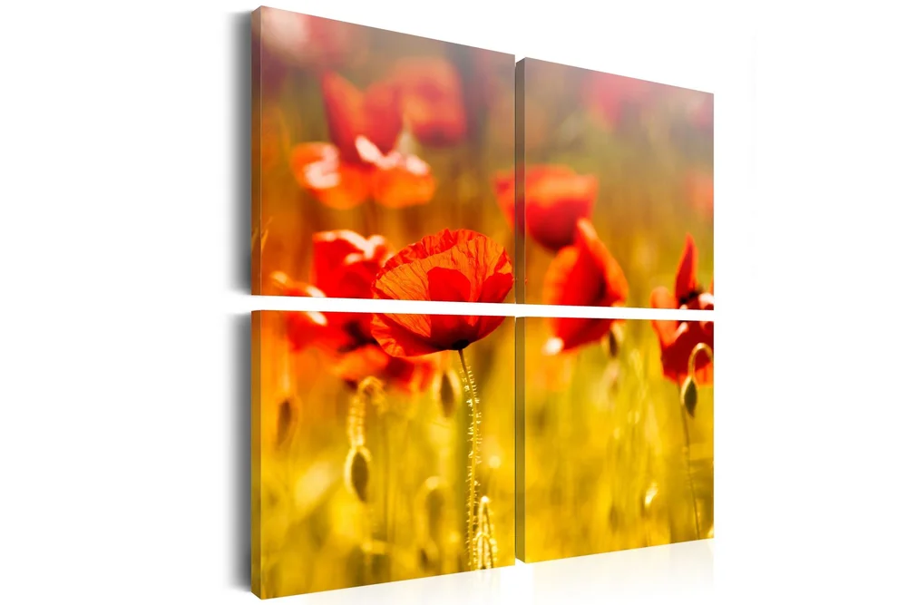 Bilde Sommertid 40x40 v:2325399
