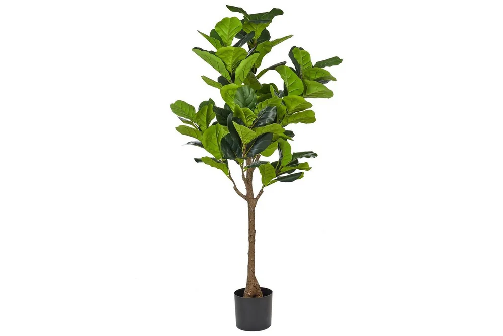 Konstgjord växt Beliani Fig Tree Green||Black v:4222424