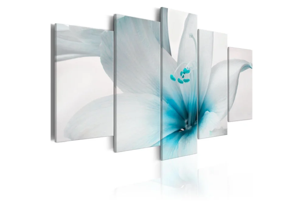 Bilde Amarylis Blue Charm 200×100 v:2719137