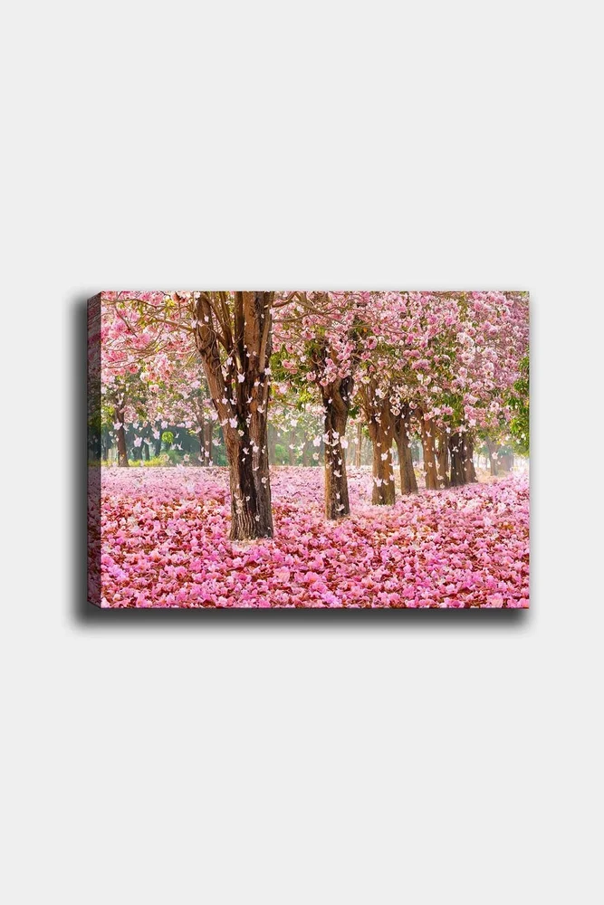 Dekorativ Canvasbilde 50x70 cm v:4031596