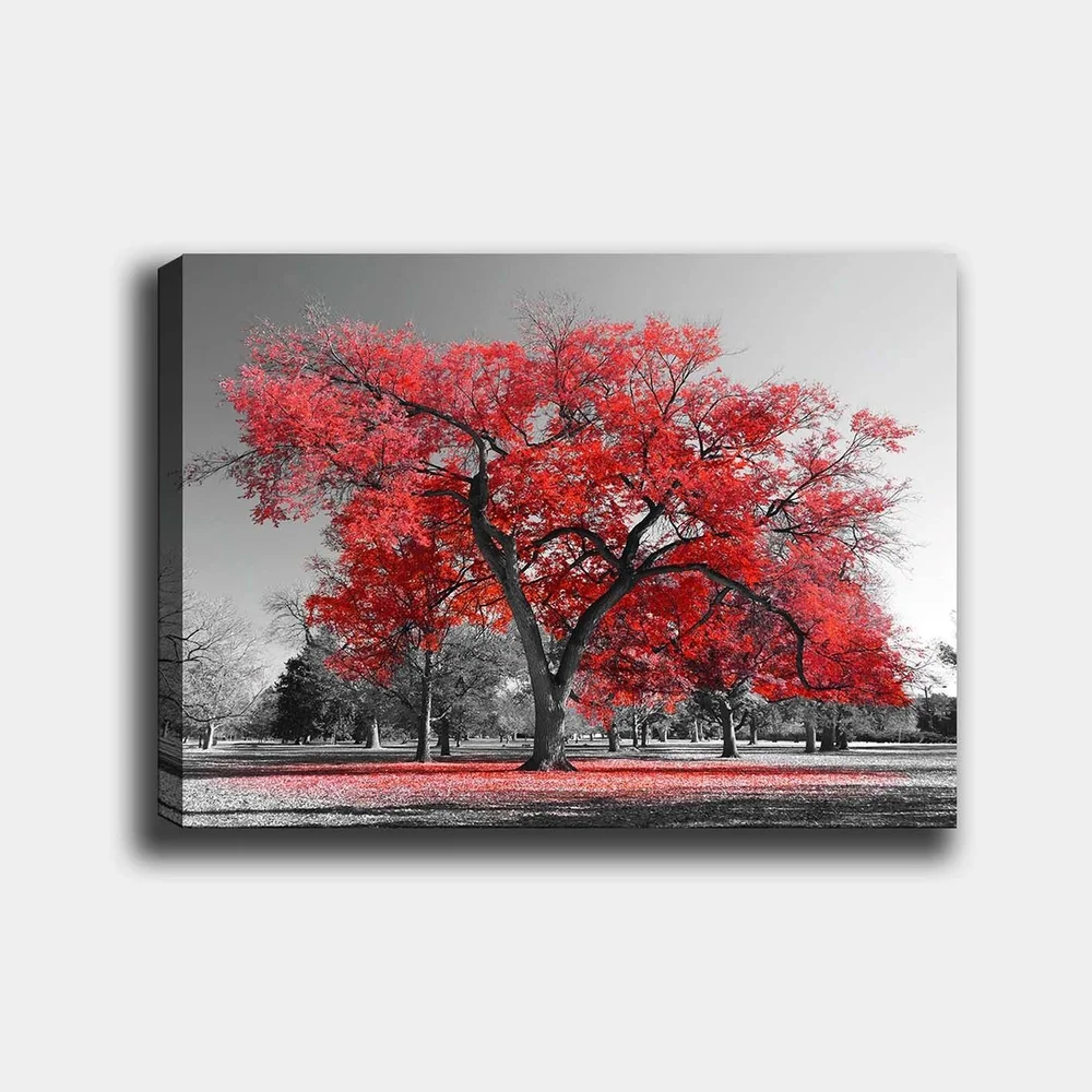 Lerretsbilde 70x100 cm - Et stort rødt tre i et svart-hvitt parklandskap v:7340719