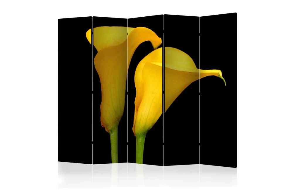 Romdeler - Two yellow calla flowers 225x172 v:1336761