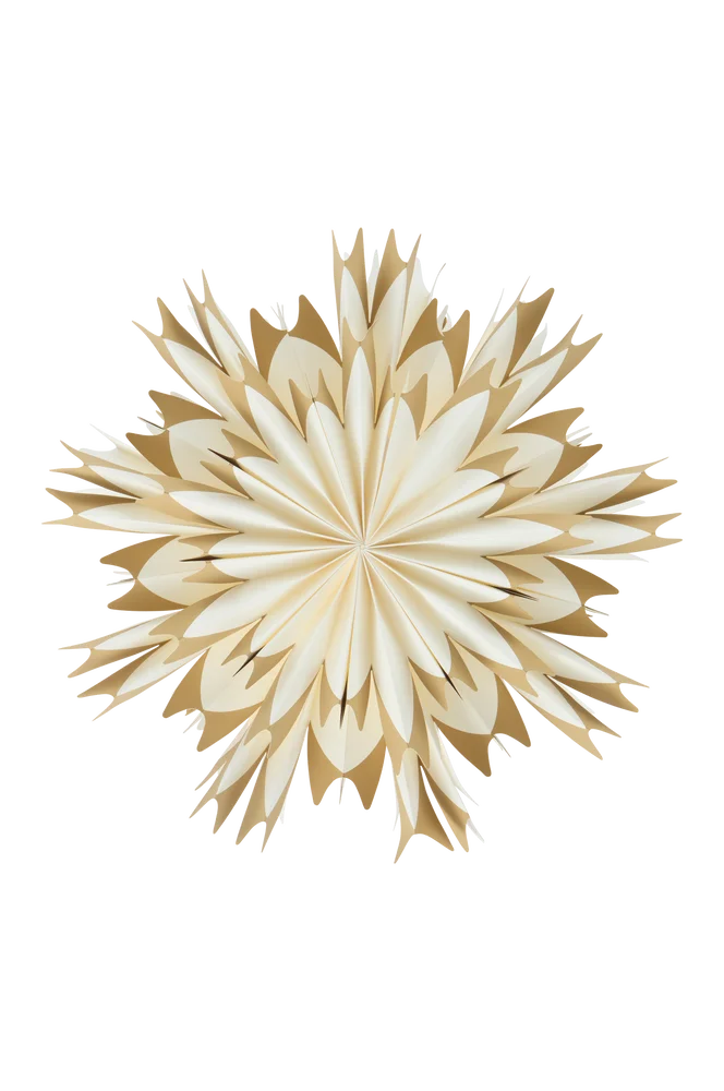CERES julestjerne ø 50 cm – Hvit – Belysning | m v:2566945 CERES julestjerne ø 50 cm – Hvit – Belysning | m v:2566945