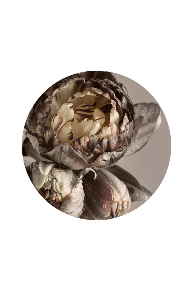 Bilde Baroque 4 – Gull – Dekor | m v:5781906 Bilde Baroque 4 – Gull – Dekor | m v:5781906