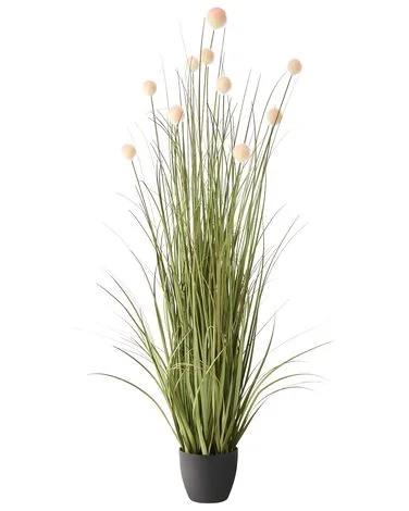 Kunstig plante POMPOM GRASS 120 cm Grønn v:8461559 Kunstig plante POMPOM GRASS 120 cm Grønn v:8461559