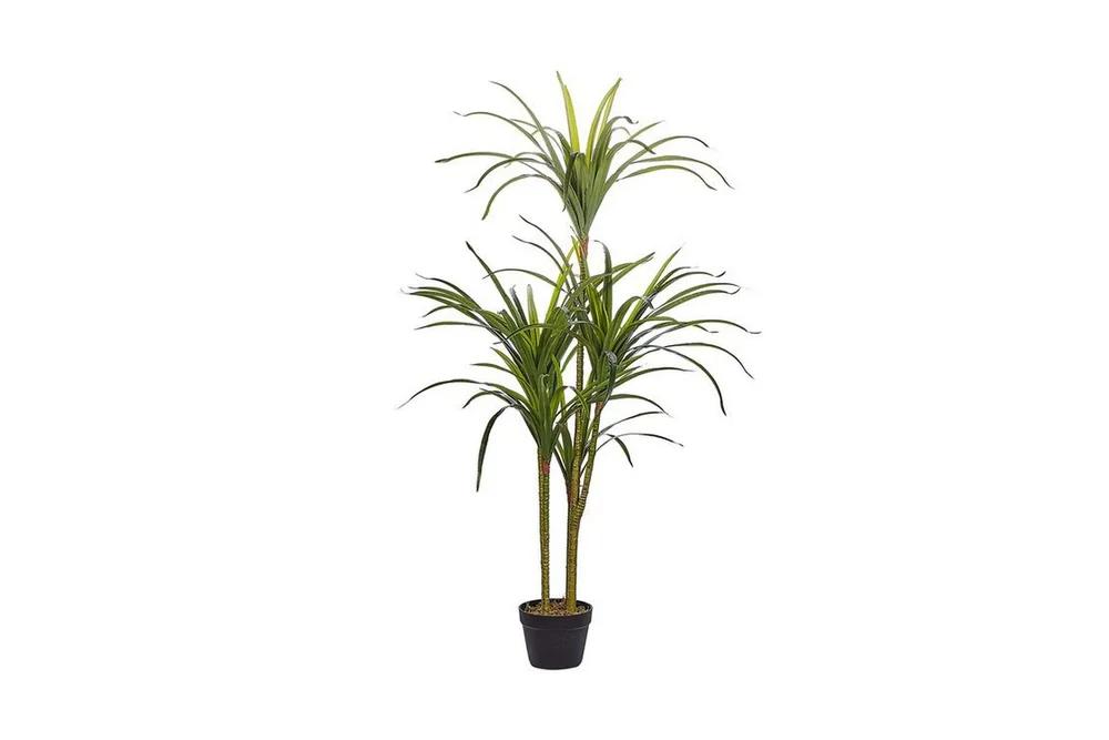 Berden Kunstig potteplante 147 cm Dracaena anita v:5808460