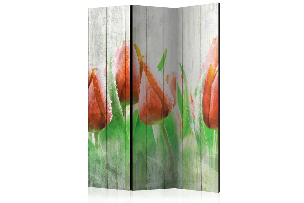 Kadira Romdeler 135×172 v:6388644 Kadira Romdeler 135×172 v:6388644